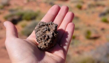 A rare meteorite found in the Sahara may be a surviving shard of a lost Moon-sized world — one that formed beside the young Sun, followed a path unlike Earth or Mars, and was smashed apart while the planets were still being built.