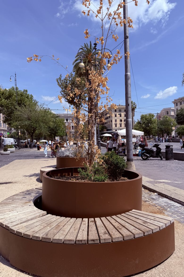 Dried-up plants in the piazza's planters, June 27, 2026.