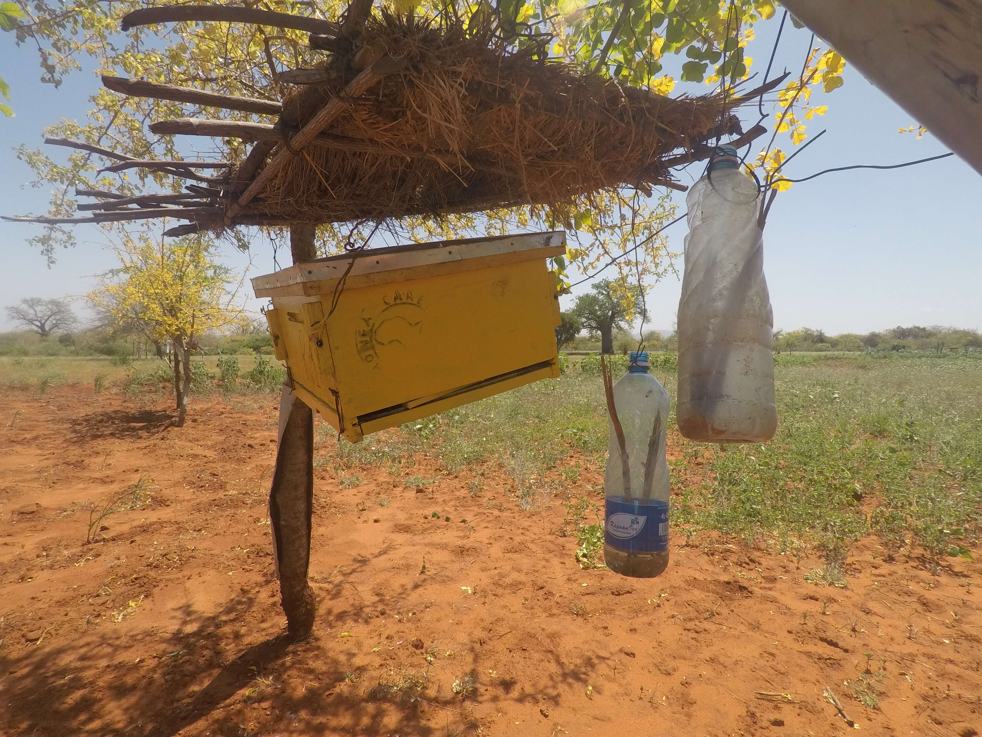Save_the_elephants_bee_hive_fence