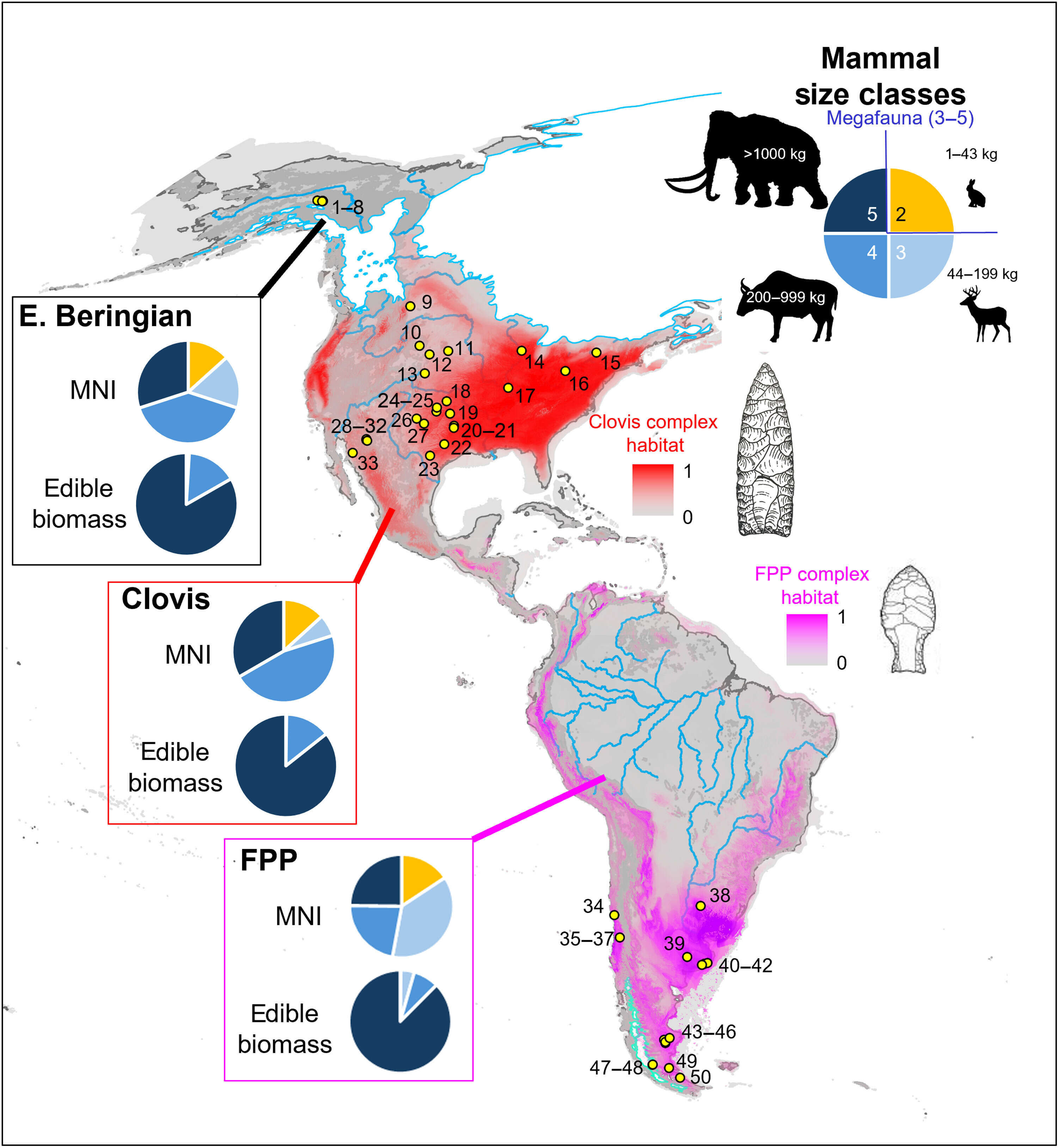 The disappearance of these giants forced significant dietary and lifestyle changes. Societies then adapted by developing regional technologies and focusing on smaller game and plants. Image Credit: Hemisphere-wide evidence of Early Paleoindian megaherbivore specialization sciadv.aef9628-f1 (1)