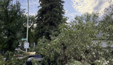 Edmonton Receives Storm Recovery Support from Calgary