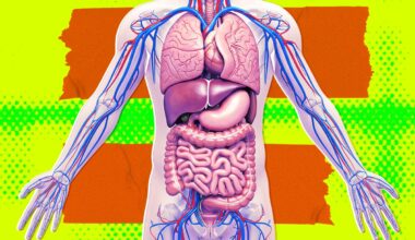 Secretive Silicon Valley Startup Tries to Quash Interview, Says It’s Definitely Not Working on Growing Brain-Free "Organ Sacks"