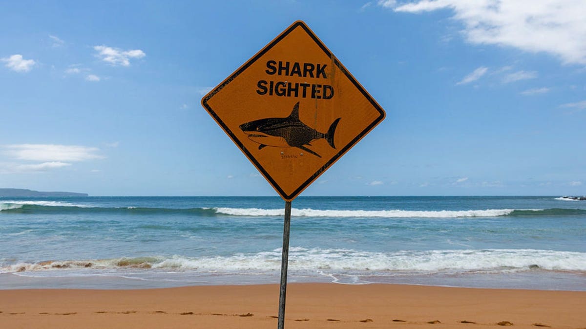 Palm Beach closed as beaches in Sydney's north have been closed since Tuesday due to shark attacks and dangerous currents during summer in Sydney on January 22, 2026 in Sydney, Australia.