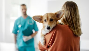 Interview: Kyrexa launches £1.5m funding round for revolutionary Rimcazole canine cancer treatment