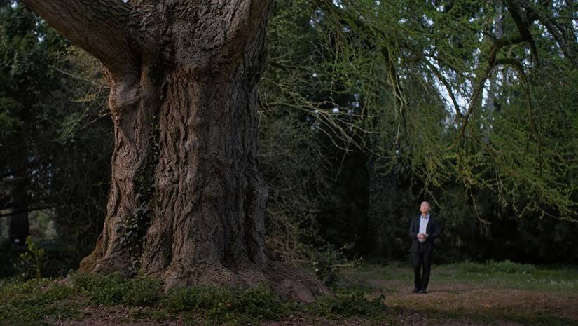 A man looking at a tree in the movie Silent Friend