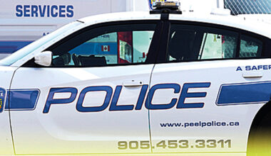stabbing brampton steeles mclaughin