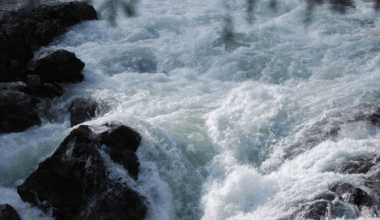 Swimmer still missing after being swept away by river in B.C. park - BC