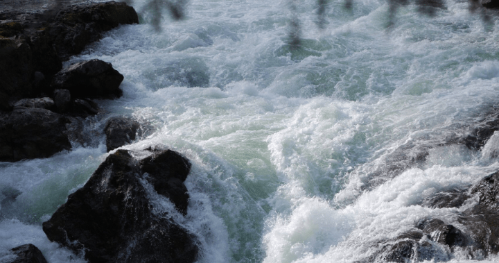 Swimmer still missing after being swept away by river in B.C. park - BC