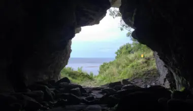5,000-year-old wolves found on remote island rewrite what we know about domestication