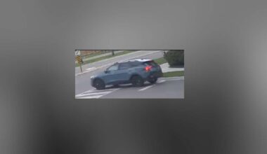 Elderly woman robbed in Mississauga distraction theft; Peel Police seek two suspects