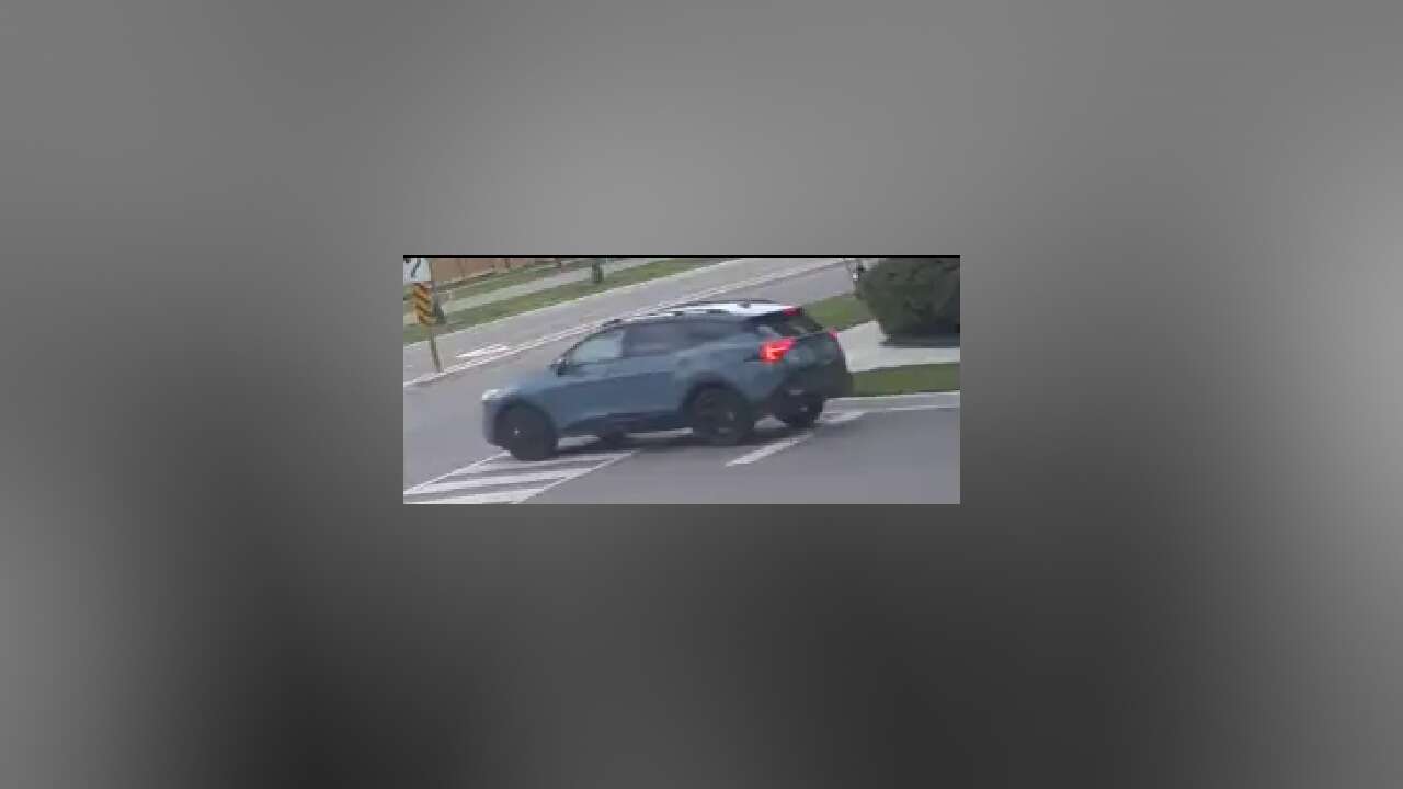 Elderly woman robbed in Mississauga distraction theft; Peel Police seek two suspects