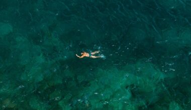 Is it safe to swim in Mississauga and Brampton? Here’s what you need to know