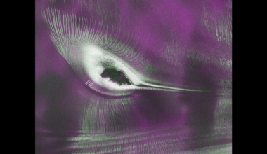 Satellite spots a 'hummingbird' in Antarctica photo of the day for July 23, 2026