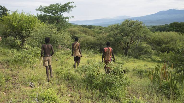 The Hadzabe people of Tanzania know how to hunt - and how to chew.