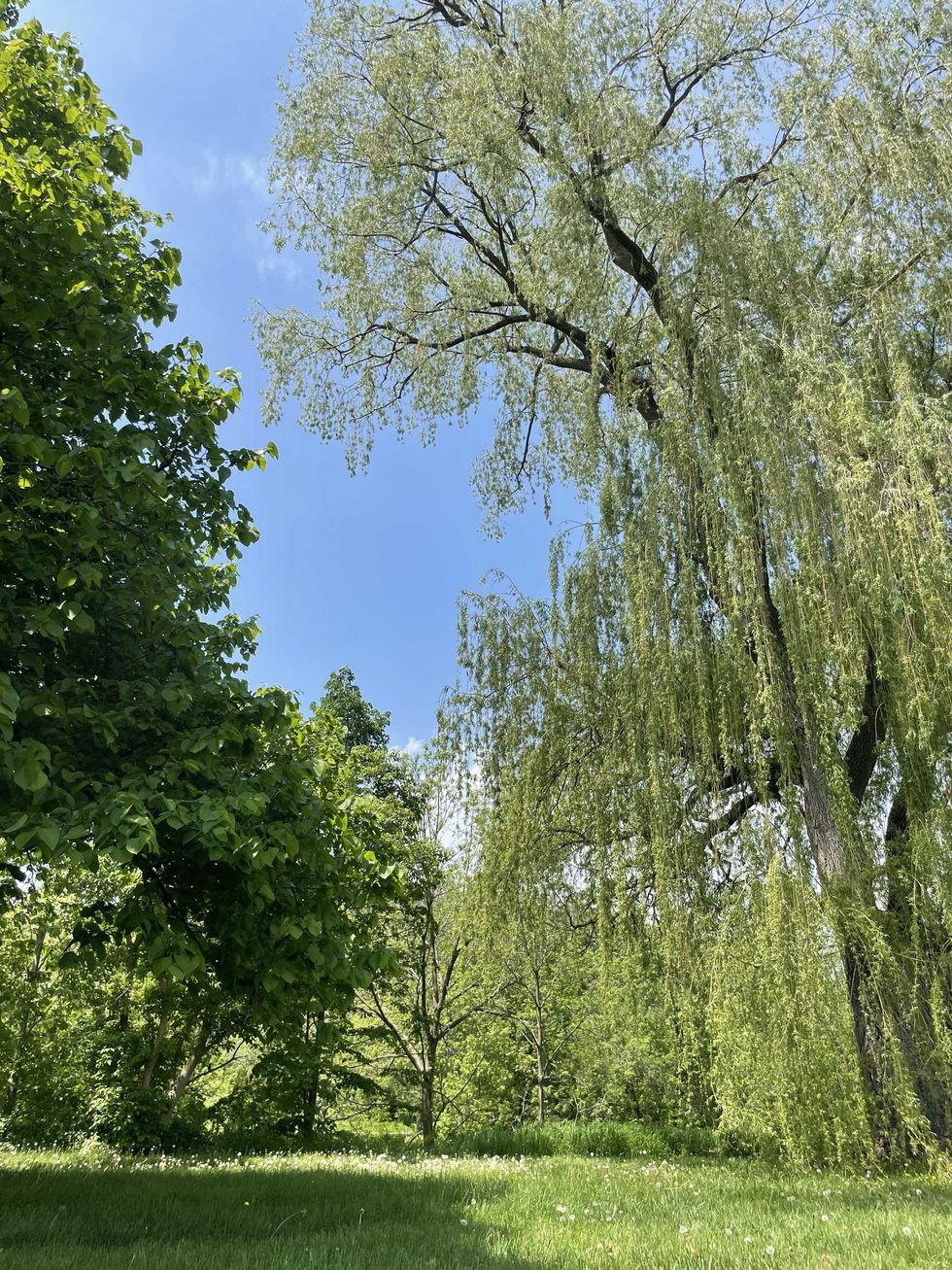 The outdoors