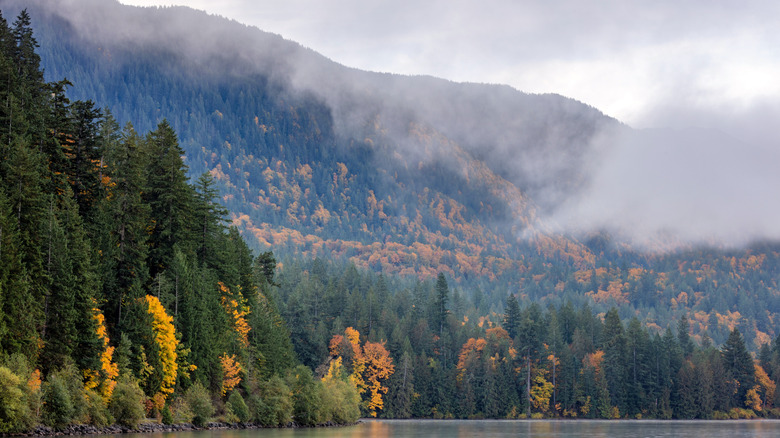 Mist rising from the mountains surrounding Cultus Lake