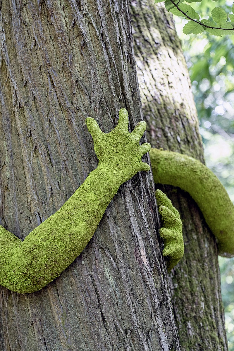 have you ever hugged a tree? monsieur plant wraps sculptural human arms around trees - 3