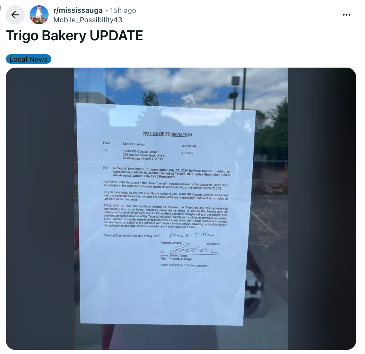 trigo bakery closed mississauga