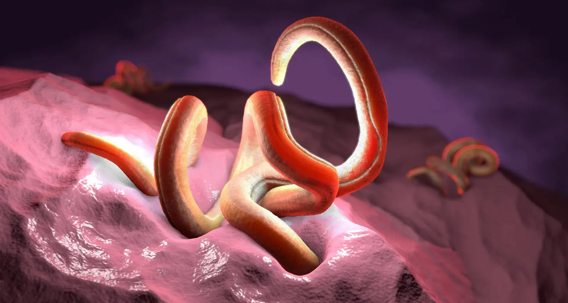 Scientists discover the one nutrient beneficial parasites can't live without