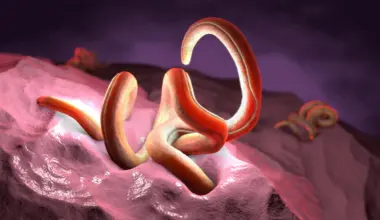 Scientists discover the one nutrient beneficial parasites can't live without