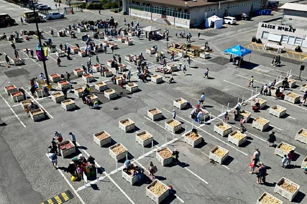 Ugly Potato Day returns to Surrey and the Cloverdale Fairgrounds