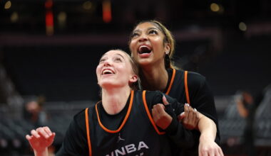 Confessions of a WNBA All-Star voter