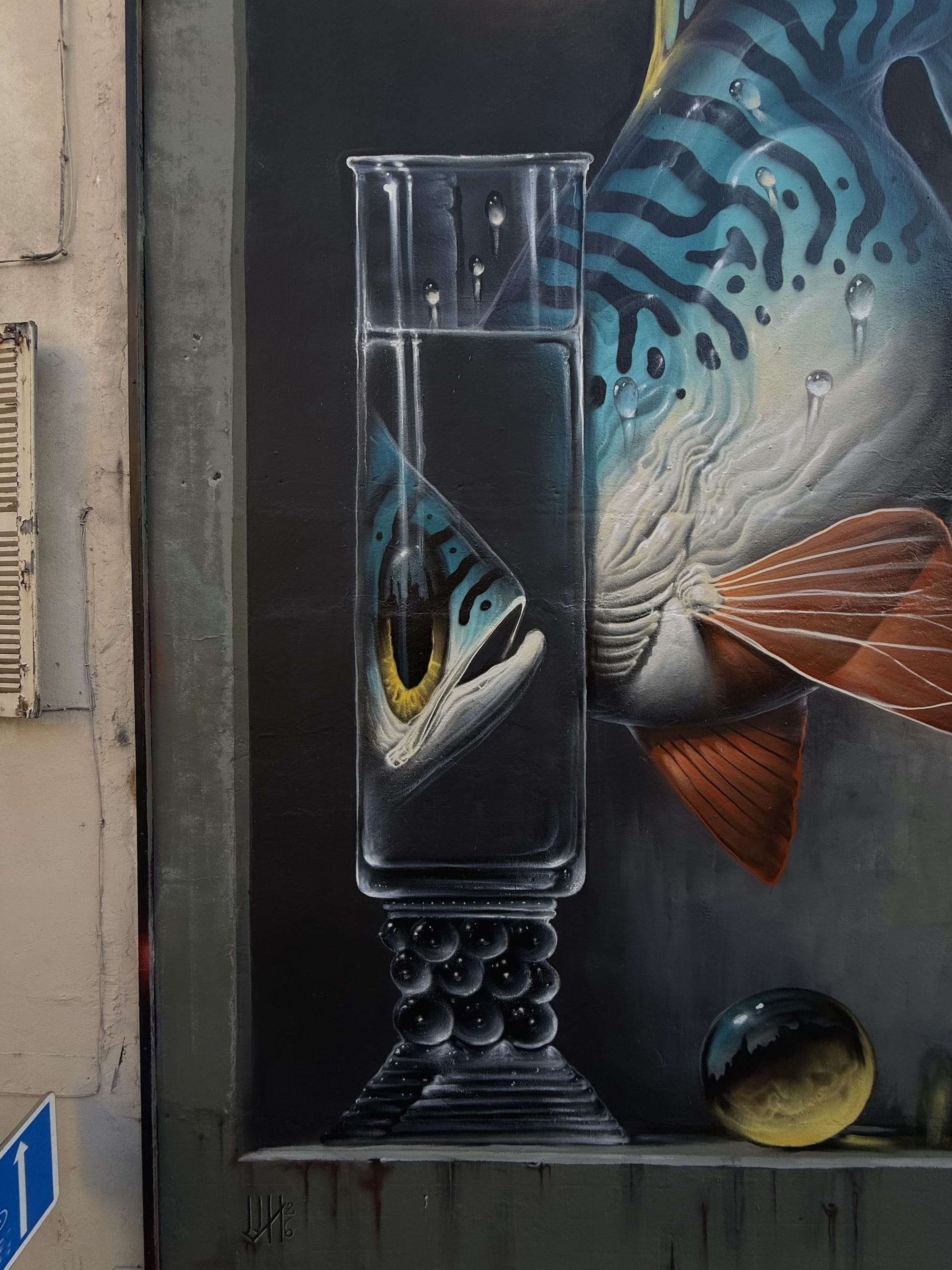 a detail of a mural of a fish looking through a glass with its face reflected backwards