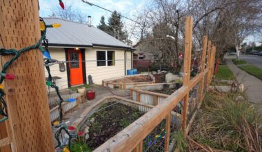 Deer fences can now be up to 2.5 metres high in Esquimalt