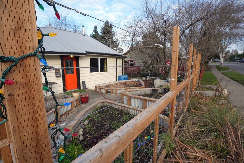 Deer fences can now be up to 2.5 metres high in Esquimalt