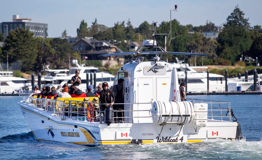 Whale-watching company Eagle Wing Tours acquired for $24M