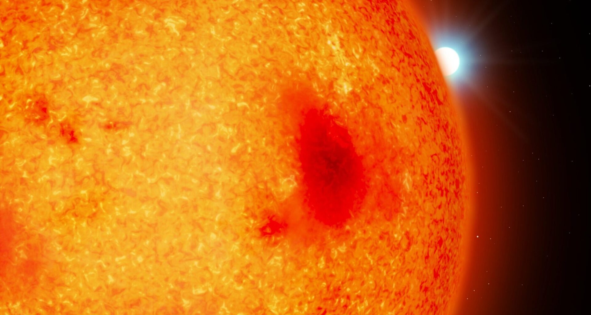 Astronomers discover four nearby white dwarfs hiding in plain sight