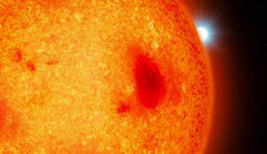 Astronomers discover four nearby white dwarfs hiding in plain sight