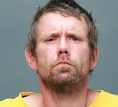 Four arrested, one suspect wanted in Winnipeg catalytic converter theft investigation