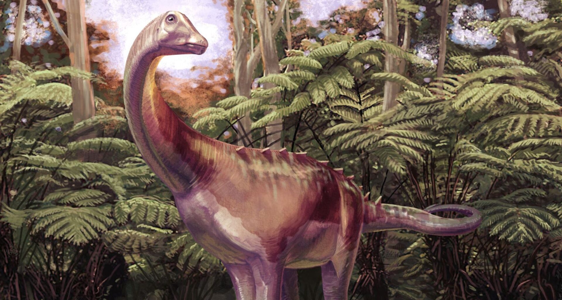 Antarctica's first dinosaur fossil belonged to a group of the largest land animals ever