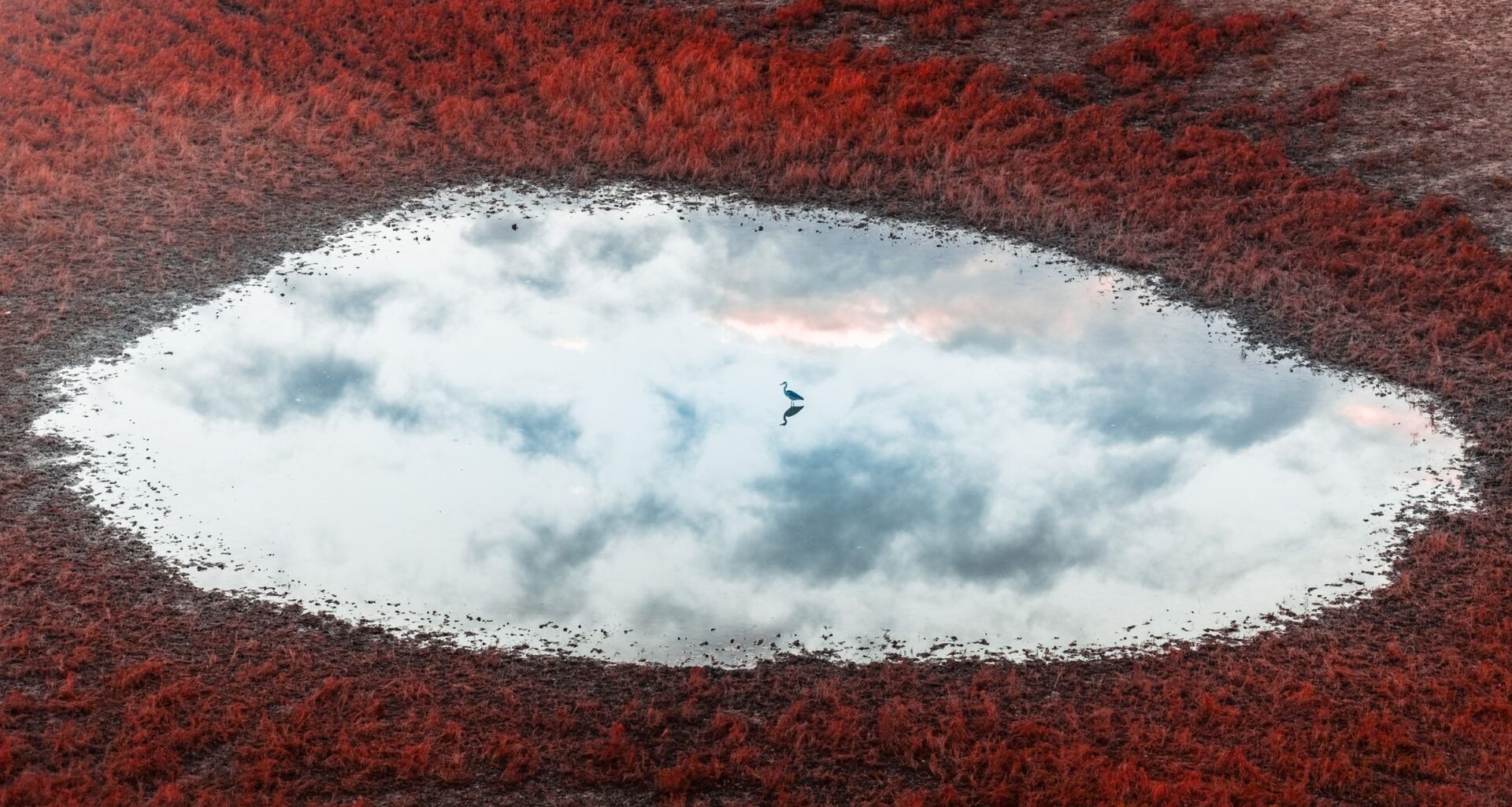 The aerial image of the year looks almost unreal – "I prioritize capturing the 'money shot' in-camera," says award-winning photographer