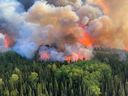 A forest fire burns.