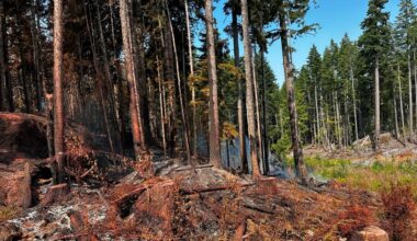 Heat, lightning raise wildfire risk on Vancouver Island