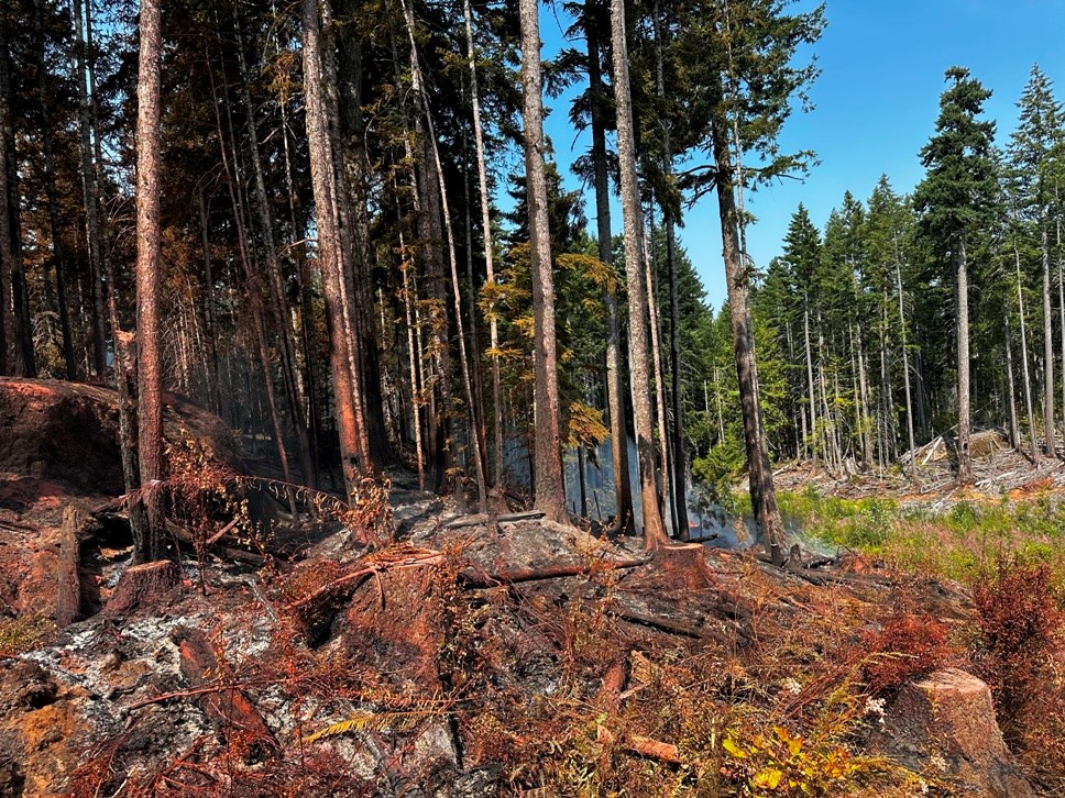 Heat, lightning raise wildfire risk on Vancouver Island