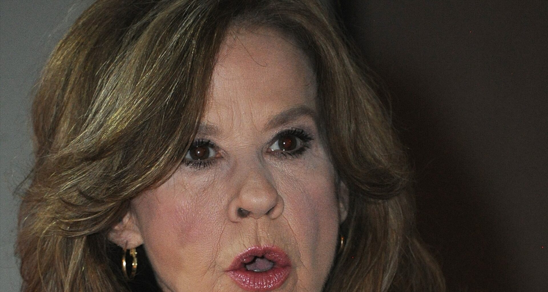 'Exorcist' Star Linda Blair's Residence Raided to Determine How Many Rescue Dogs on Property