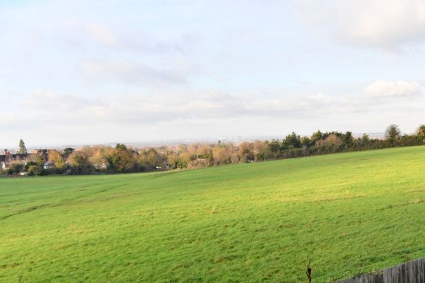 675 home plans for Surrey farmland site long earmarked for development revealed to public
