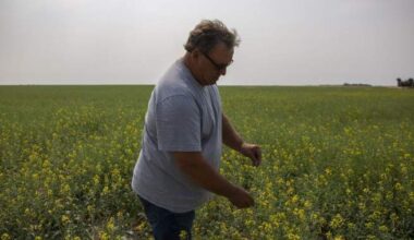 Saskatchewan senator, farmer Todd Lewis dies at 65