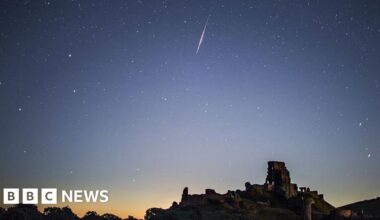 Perseid meteor shower reaches peak: When and where to catch a glimpse - BBC