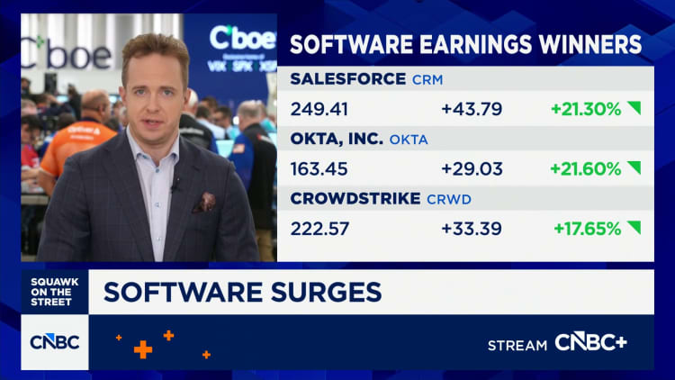 Options Action: Software surges