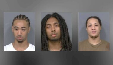 Five Including Two Youths Charged in Brampton Double Homicide
