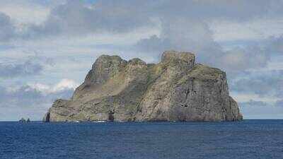 Colombia intercepted a boat near the Malpelo sanctuary carrying 1,764 pounds of marine animals; officials are investigating illegal fishing