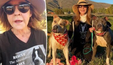 'Exorcist' star Linda Blair speaks out after cops search home over reported 100-dog kennel operation