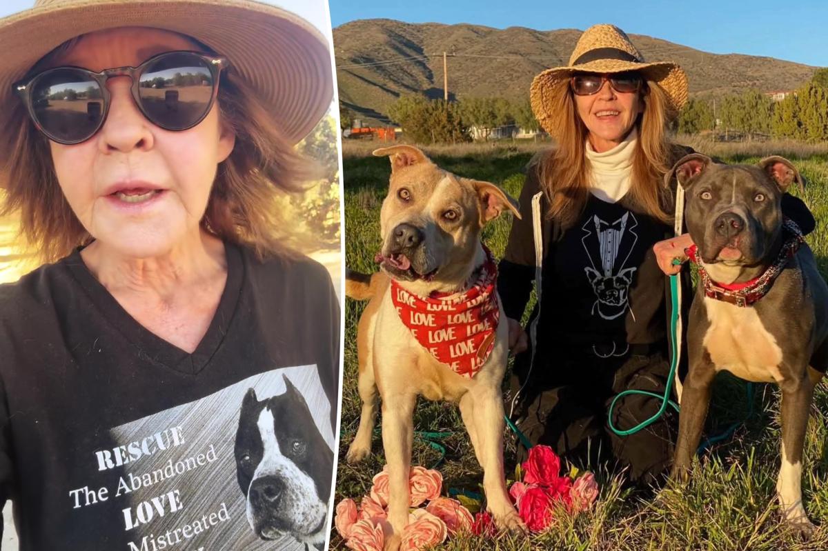 'Exorcist' star Linda Blair speaks out after cops search home over reported 100-dog kennel operation