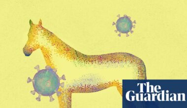 A mystery virus started killing horses. Then humans. Was this the moment our coronavirus era began? | Infectious diseases