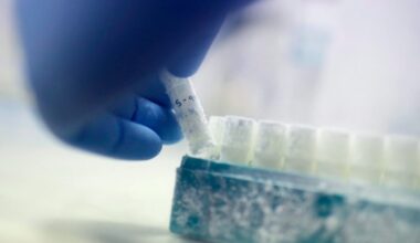 Sperm donation: Canada drops barriers to gay, bisexual men