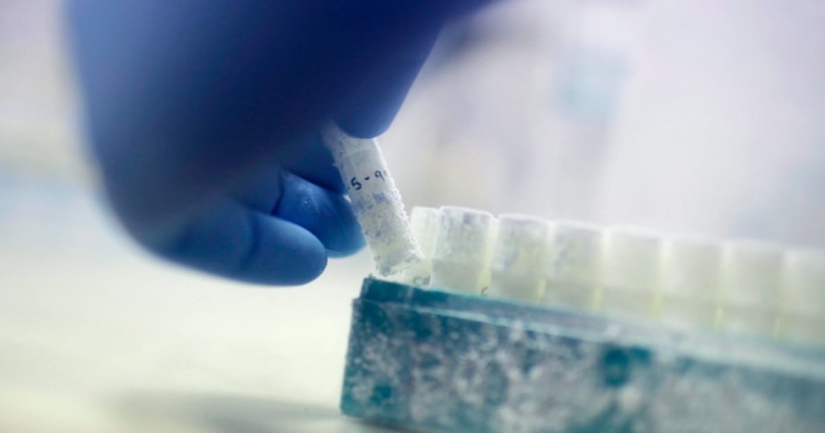 Sperm donation: Canada drops barriers to gay, bisexual men